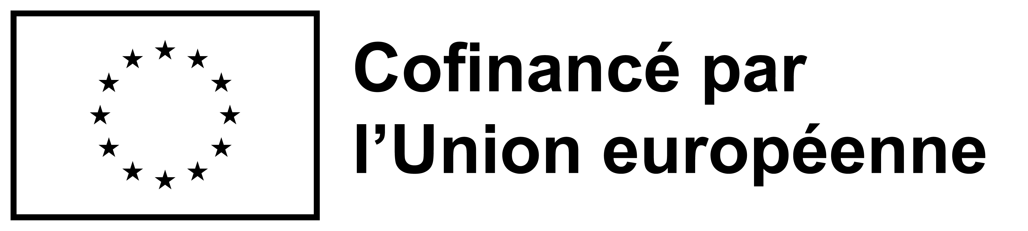 Union européenne